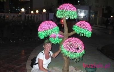 Żena, Female, 69, Warszawa, Polska, Photo: 2