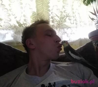Areczek, Mężczyzna, 34, Katowice, Polska, Zdjęcie: 5