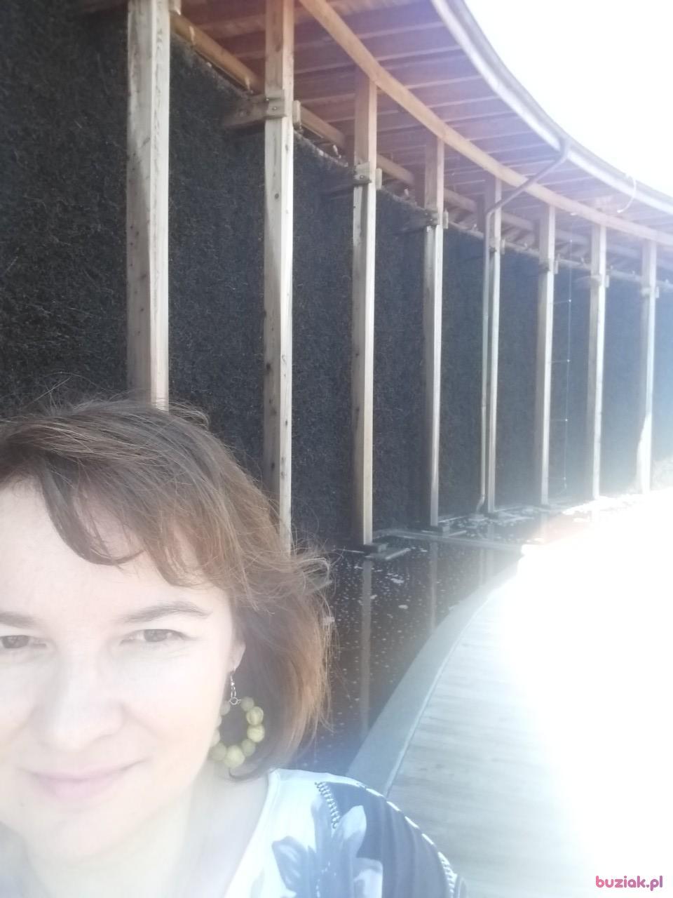 martyna, Female, 48, Łódź, Polska, Photo: 2