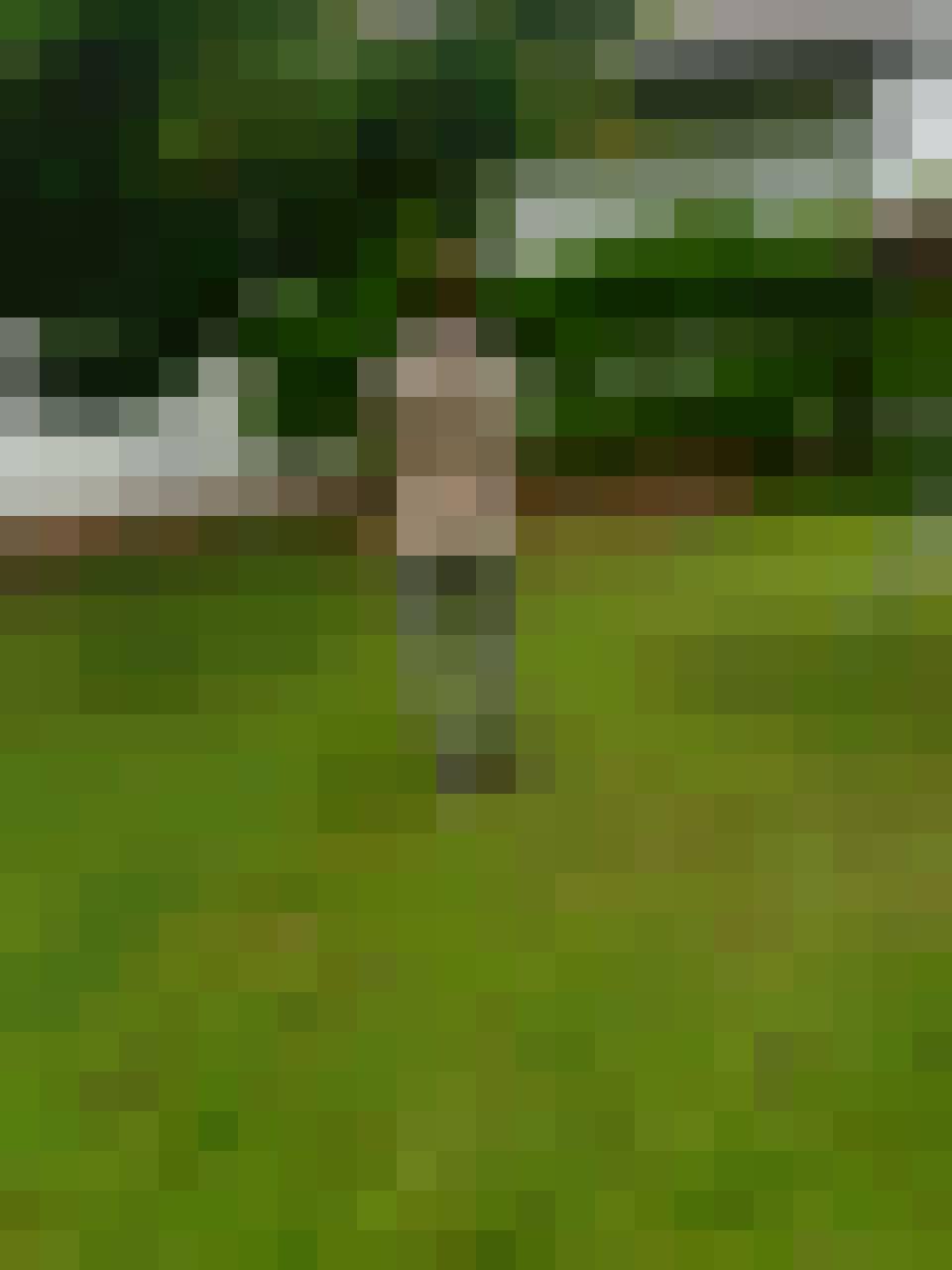 Ola 45, Female, 46, Frankfurt, Niemcy, Photo: 36