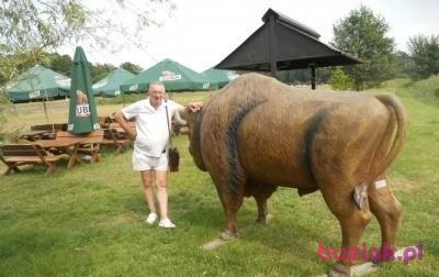 gorgon1, Male, 72, Wrocław, Polska, Photo: 14