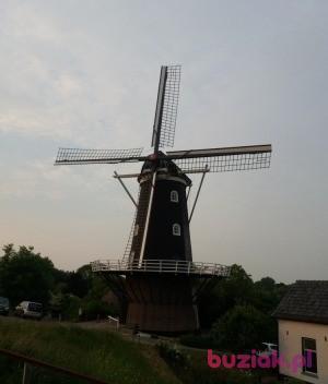 Wspomnienie81, Male, 45, Holandia, Photo: 2