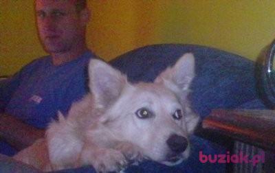krzys, Male, 51, Polska, Photo: 3