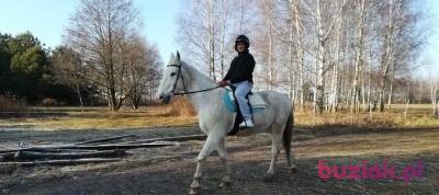 Piotrvip, Male, 43, Greenwich, USA, Photo: 2