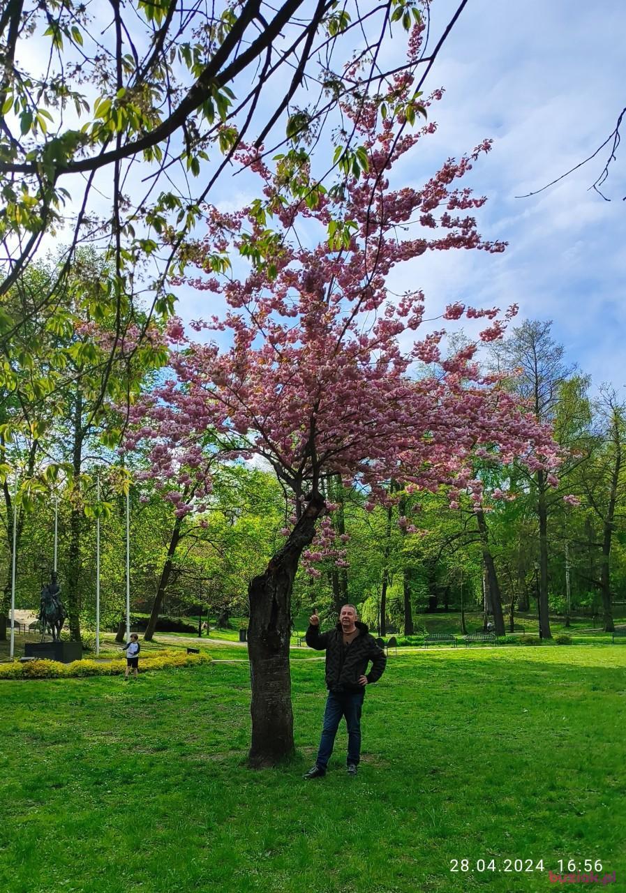 Irek, Male, 61, Gdańsk, Polska, Photo: 4
