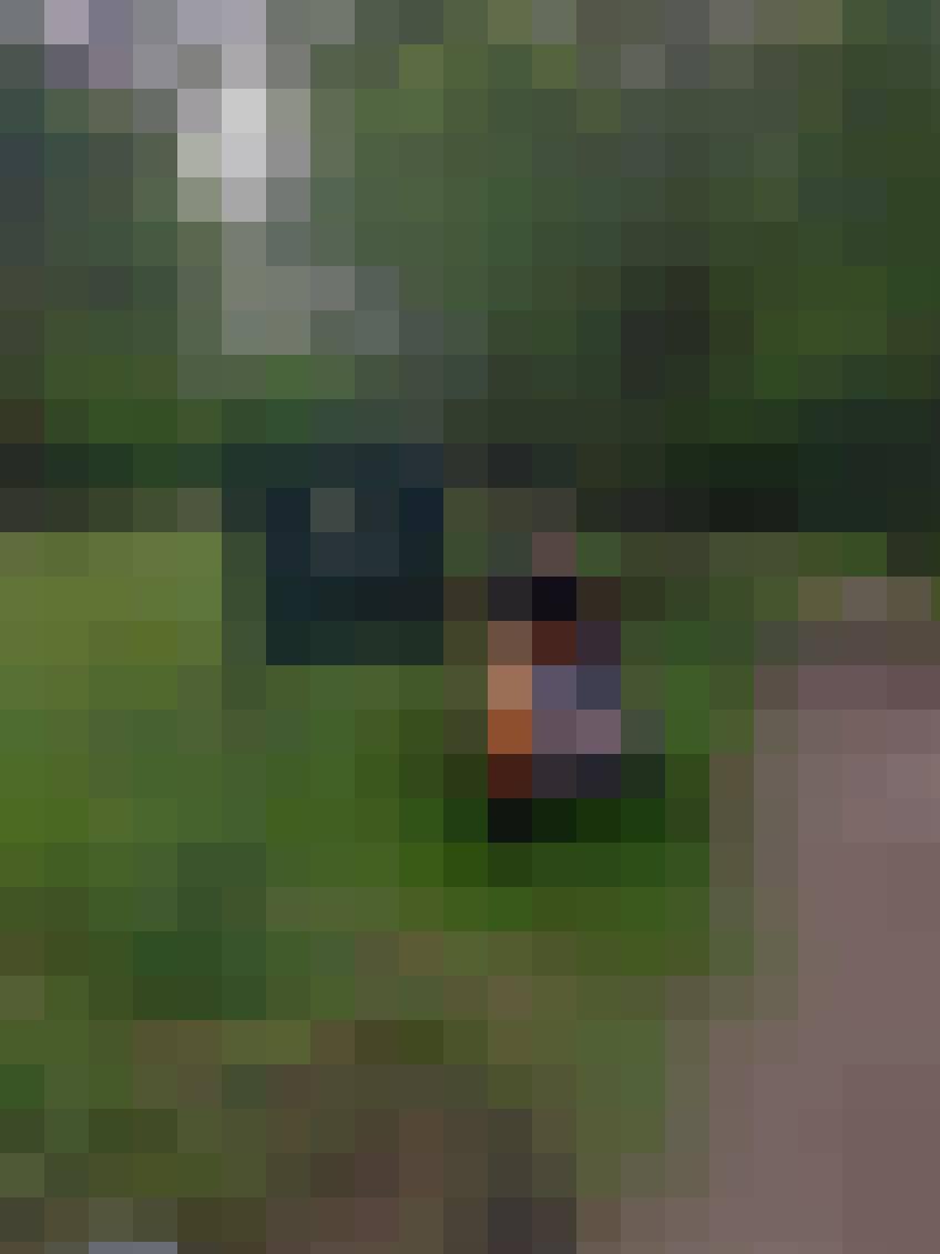 Roman, Male, 78, Sulejówek, Polska, Photo: 5
