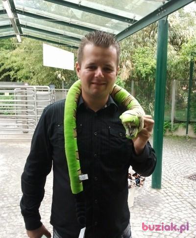 IROSZ, Male, 38, Jasło, Polska, Photo: 3