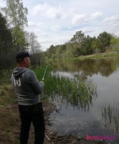 Tomasz, Male, 50, Pruszcz Gdański, Polska, Photo: 5