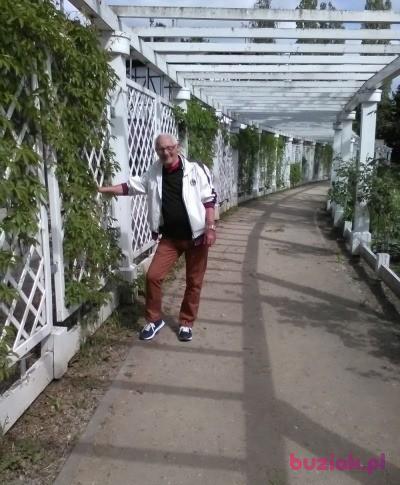 Arni, Male, 79, Gdynia, Polska, Photo: 6