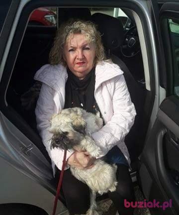 Dorota, Kobieta, 58, Kielce, Polska, Zdjęcie: 4