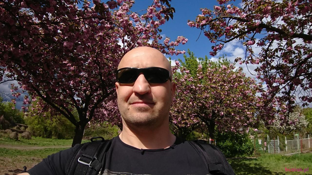 Mar, Mężczyzna, 43, Berlin, Niemcy, Zdjęcie: 2