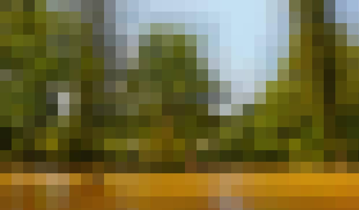 Zbyszek, Mężczyzna, 66, Dusseldorf, Niemcy, Zdjęcie: 4