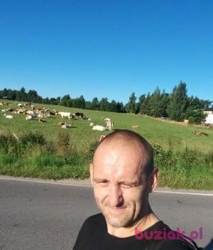 kuba, Male, 41, Reda, Polska, Photo: 14