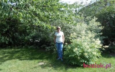 Iwona, Female, 68, Zgierz, Polska, Photo: 4
