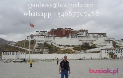 Wladek, Male, 56, Berlin, Niemcy, Photo: 9