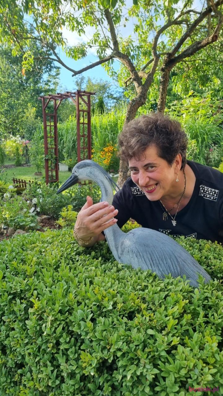Zofia, Female, 66, Gorzów Wielkopolski, Polska, Photo: 6