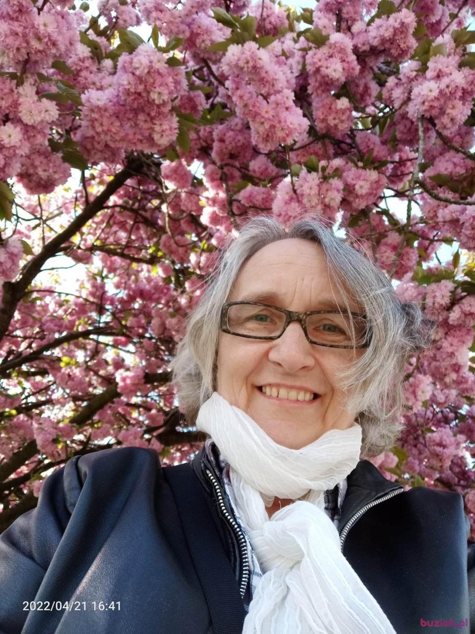 mia, Kobieta, 63, Kraków, Polska, Zdjęcie: 2