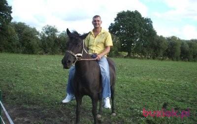 Tomasz, Mężczyzna, 50, Poznań, Polska, Zdjęcie: 1
