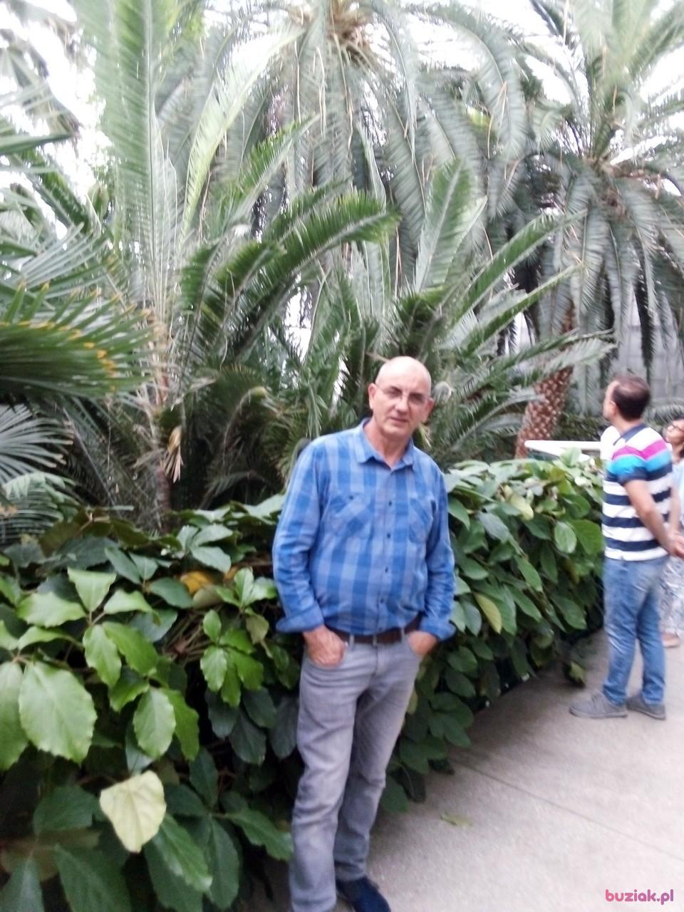 Jurek, Male, 64, Gorzów Wielkopolski, Polska, Photo: 2