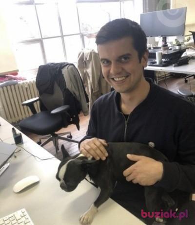 Hubert, Male, 38, Westminster, Wielka Brytania, Photo: 3