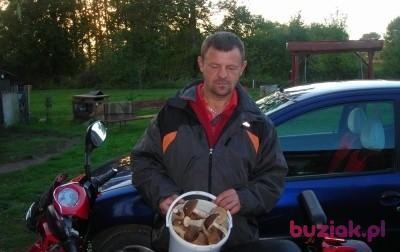 krzysiek, Mężczyzna, 56, Chełm, Polska, Zdjęcie: 2