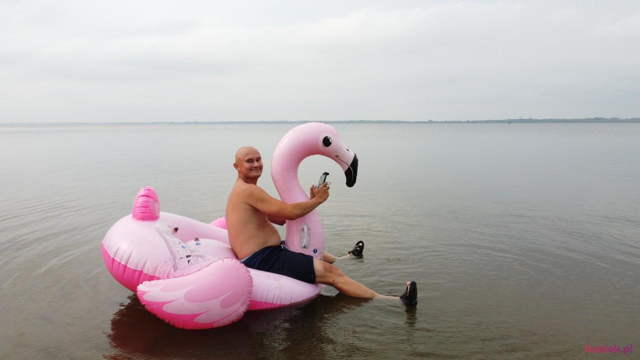 Michał, Mężczyzna, 37, Zgierz, Polska, Zdjęcie: 687