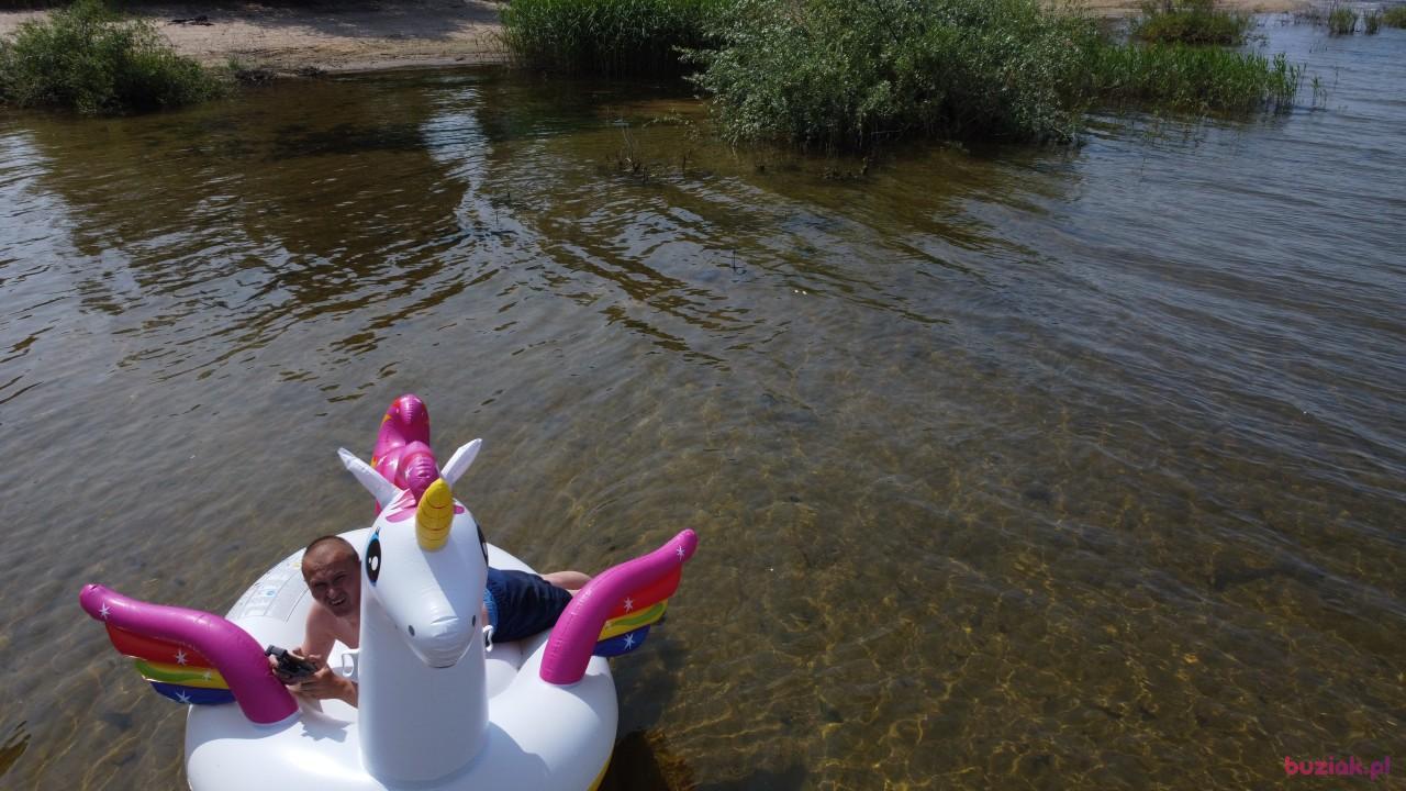 Michał, Mężczyzna, 37, Zgierz, Polska, Zdjęcie: 436