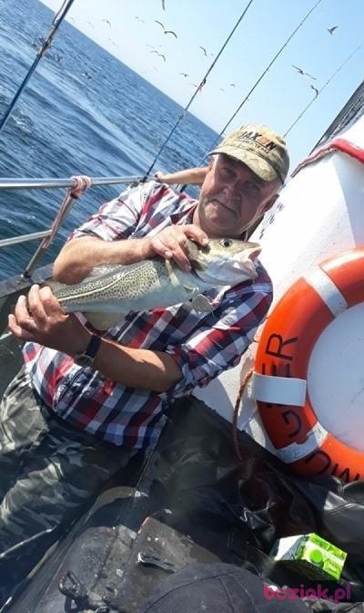 Janusz, Male, 59, Puławy, Polska, Photo: 2