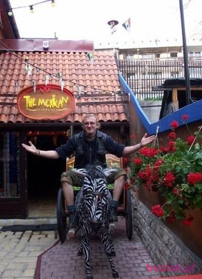 ARTUR, Mężczyzna, 46, Siedlce, Polska, Zdjęcie: 2