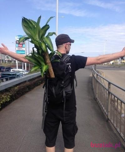Bartek , Male, 44, Margate, Wielka Brytania, Photo: 3