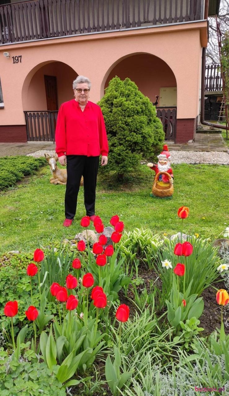 Ewa, Female, 64, Przeworsk, Polska, Photo: 10
