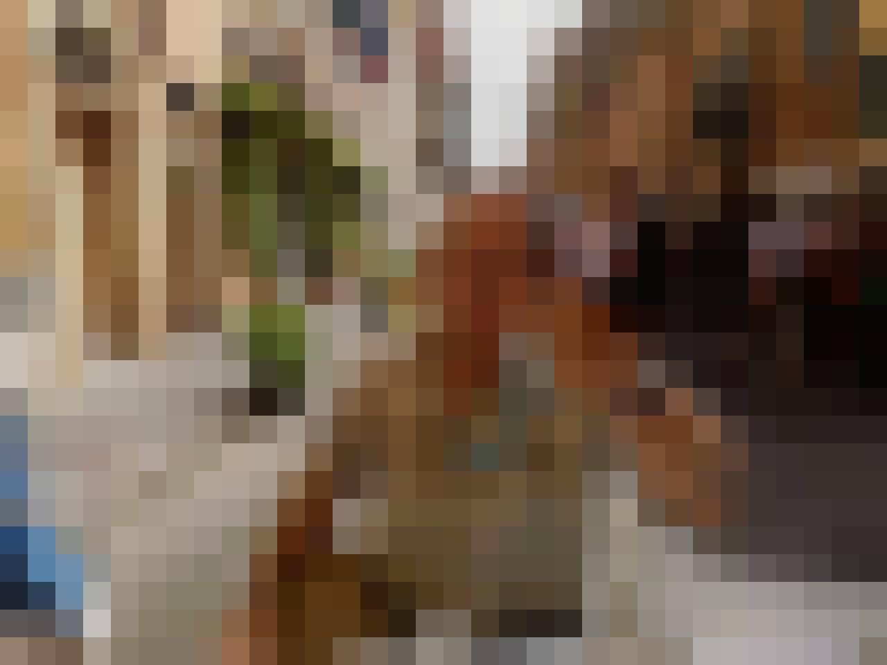 Tadeusz, Male, 62, Gliwice, Polska, Photo: 5