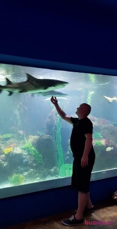 Marcin, Mężczyzna, 43, Szczecin, Polska, Zdjęcie: 9