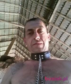 piotr, Male, 49, Młynary, Polska, Photo: 3