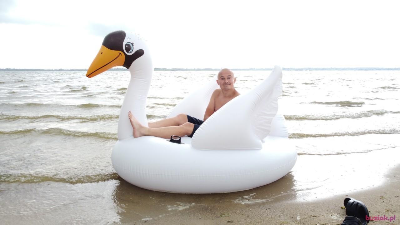 Michał, Mężczyzna, 37, Zgierz, Polska, Zdjęcie: 537