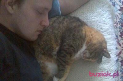 Bartes, Mężczyzna, 43, Łódź, Polska, Zdjęcie: 4
