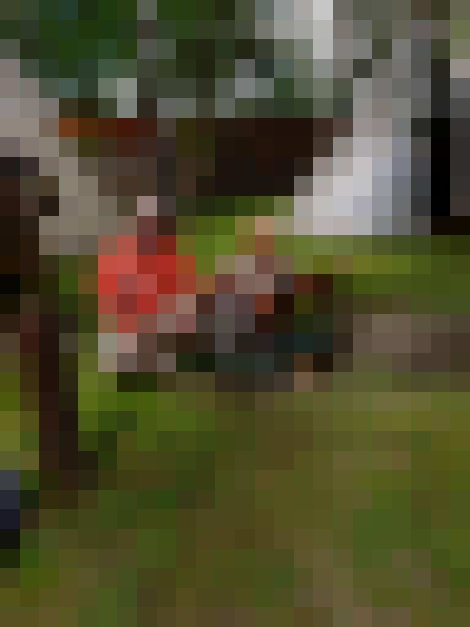 Marek, Male, 54, Przemyśl, Polska, Photo: 2
