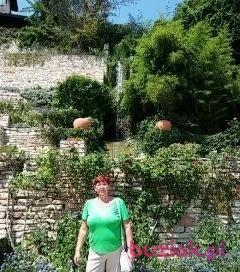 sabina, Female, 67, Krosno, Polska, Photo: 6