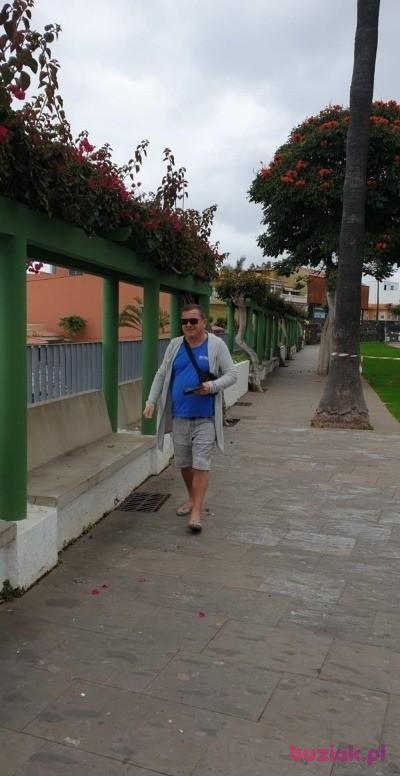Henryk, Male, 64, Gliwice, Polska, Photo: 12