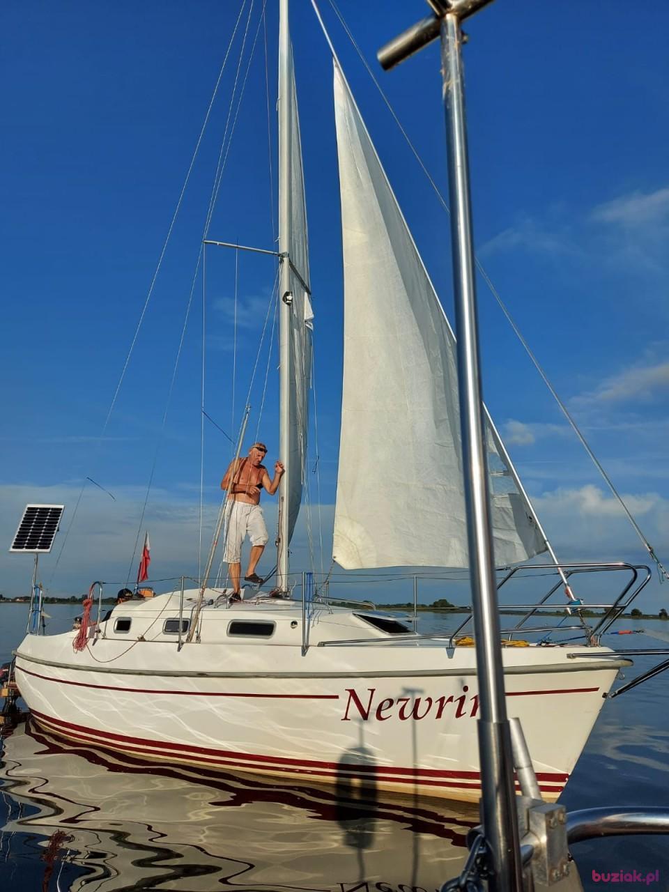 Tadeusz, Male, 72, Opole, Polska, Photo: 5