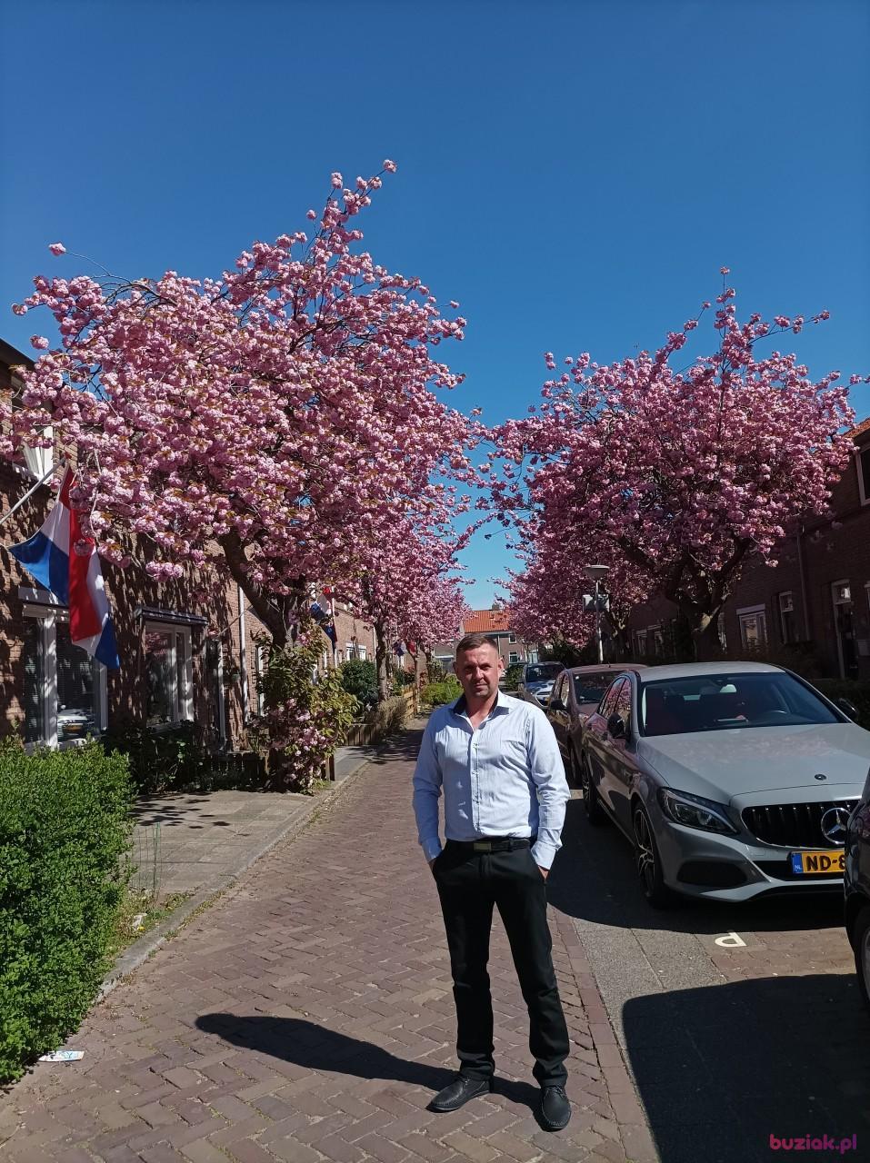 Tomi, Male, 43, Białystok, Polska, Photo: 1