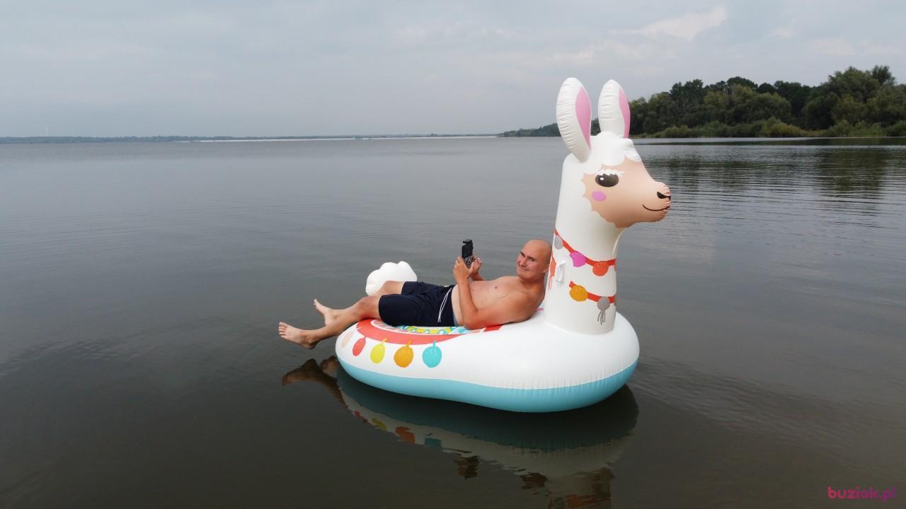 Michał, Mężczyzna, 37, Zgierz, Polska, Zdjęcie: 693