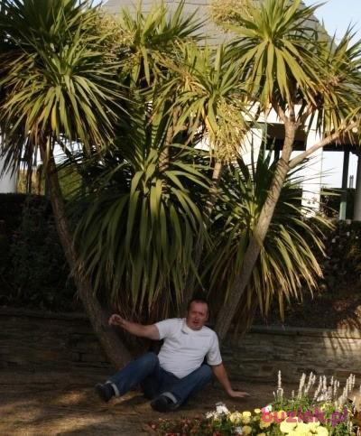 Don Coyote, Male, 52, Hitchin, Wielka Brytania, Photo: 2