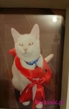 Daniel, Mężczyzna, 44, Łódź, Polska, Zdjęcie: 4