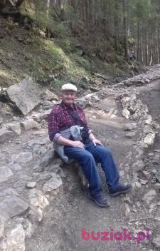 Sylwester, Male, 75, Będzin, Polska, Photo: 5