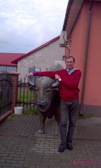 Marek, Male, 63, Będzin, Polska, Photo: 1