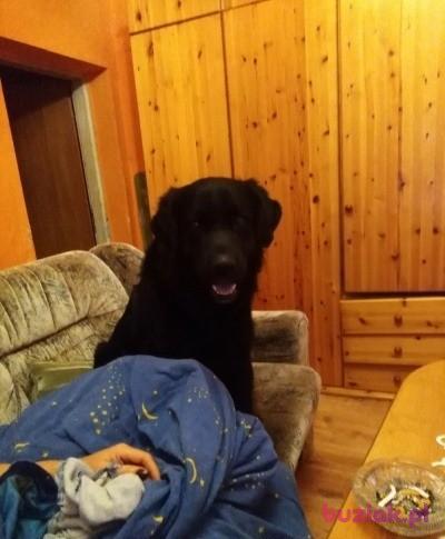 Kamil, Male, 40, Słubice, Polska, Photo: 5