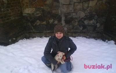 Monika, Female, 37, Polska, Photo: 2