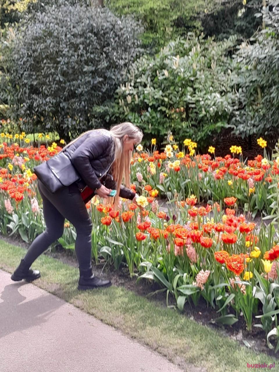 Lucyna, Female, 55, Haga, Holandia, Photo: 8