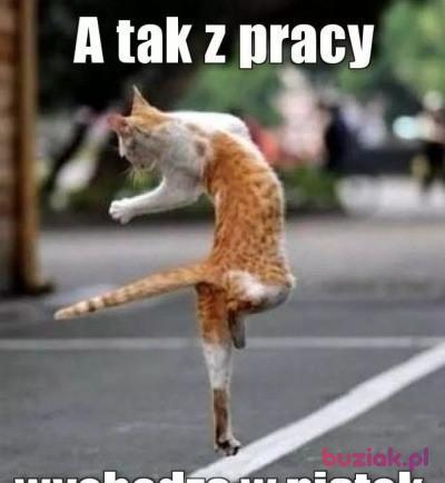 Mariusz, Male, 49, Gniewkowo, Polska, Photo: 4